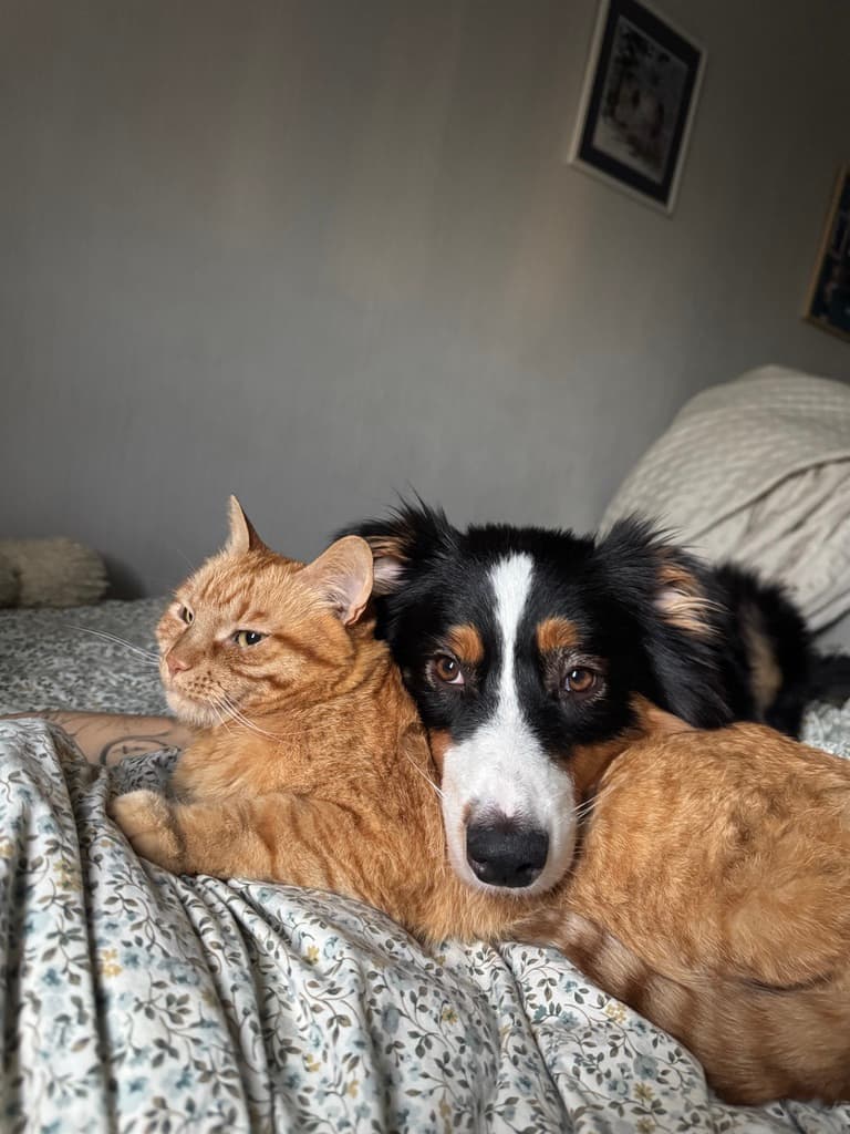 Oleksandr Ratushnyi Platon and Lapsi