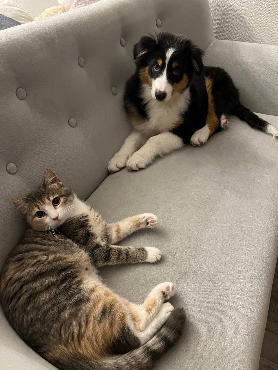 Oleksandr Ratushnyi Lapsi and Luna