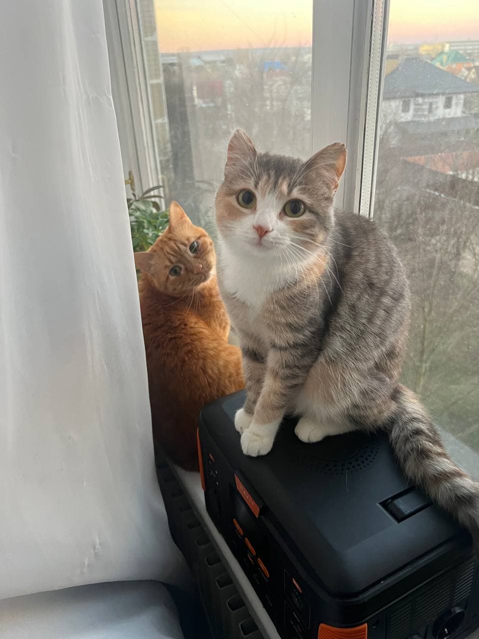 Oleksandr Ratushnyi Platon and Luna