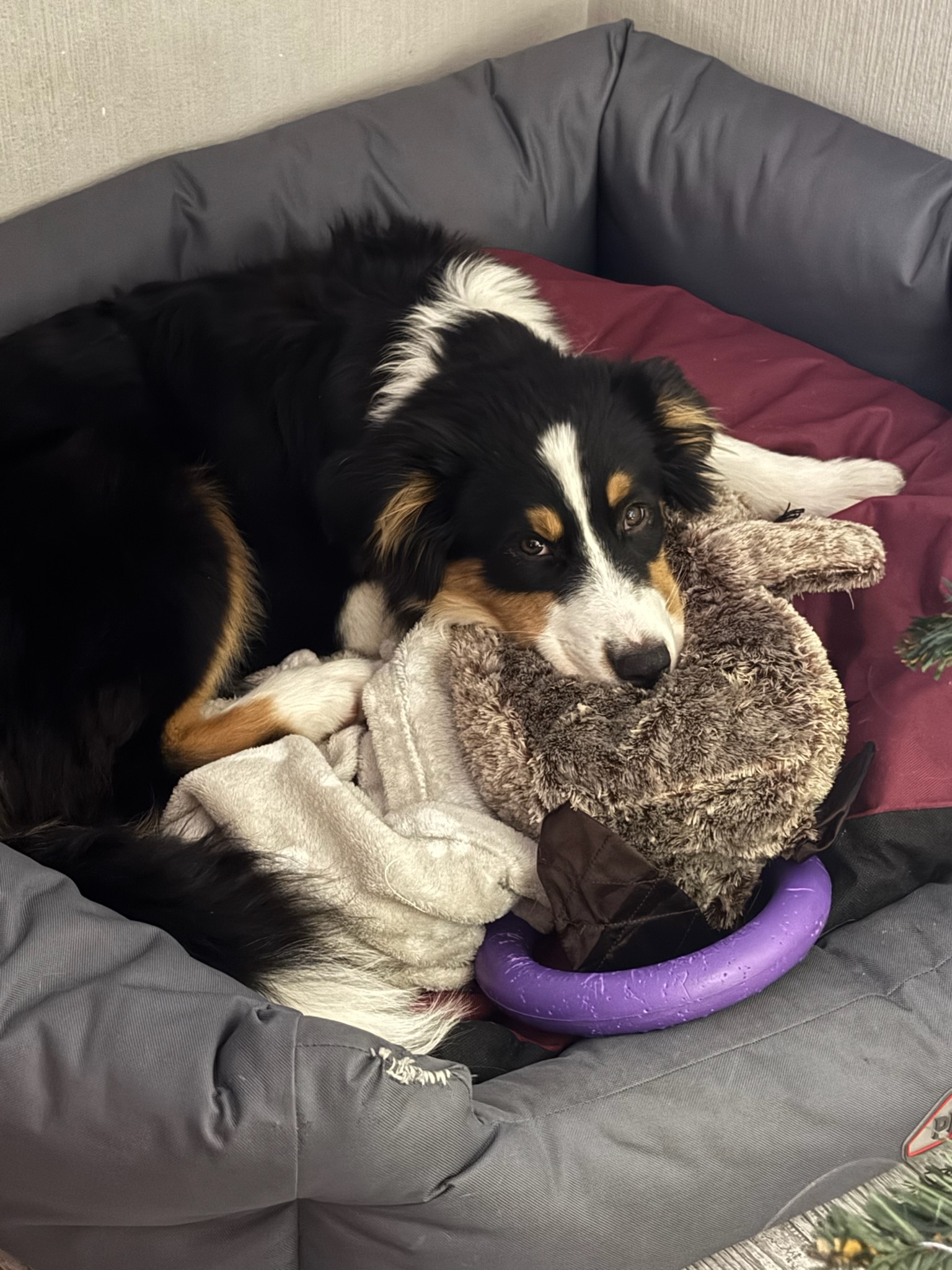 Oleksandr Ratushnyi Lapsi